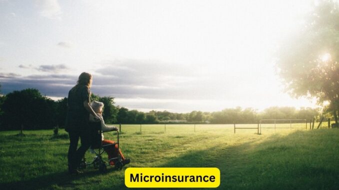 Microinsurance: Bridging Gaps for the Underserved