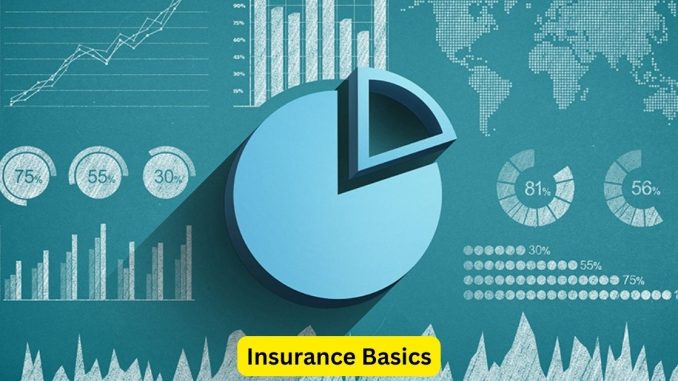 Insurance Basics: Building Your Knowledge Foundation