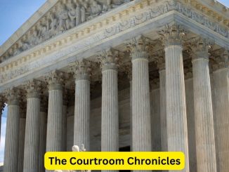 The Courtroom Chronicles: Stories from the Legal Frontline