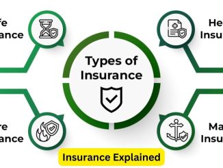 Insurance Explained: Your Roadmap to Coverage Options