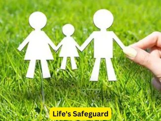 Life's Safeguard: A Comprehensive Guide to Insurance Planning