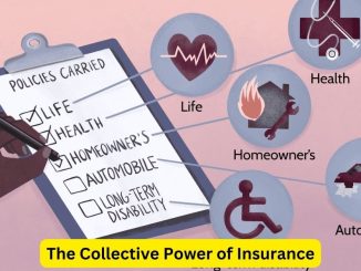 Safety in Numbers: The Collective Power of Insurance