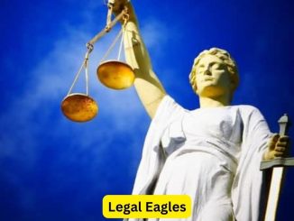 Legal Eagles: Inside the World of Attorneys