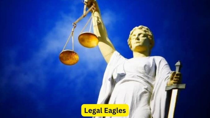 Legal Eagles: Inside the World of Attorneys